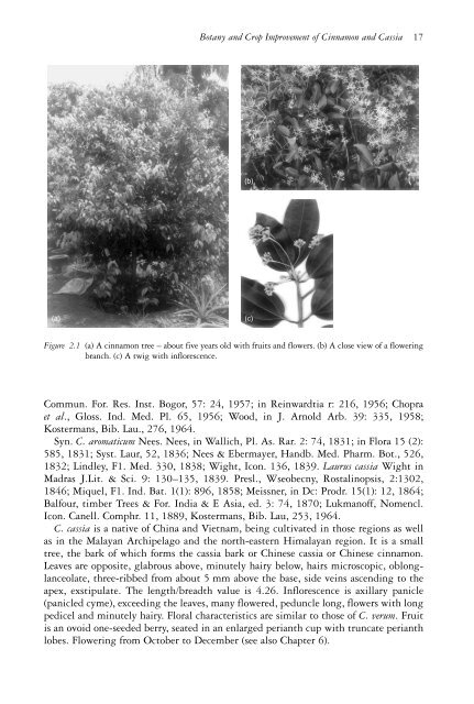 The genus Cinnamomum