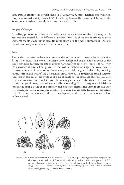 The genus Cinnamomum