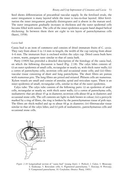 The genus Cinnamomum