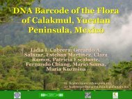 DNA Barcode of the Flora of Calakmul, Yucatan Peninsula, Mexico