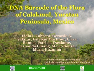 DNA Barcode of the Flora of Calakmul, Yucatan Peninsula, Mexico