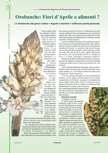 Orobanche: Fiori d'Aprile o alimenti ?