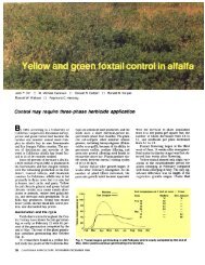 Yellow and green foxtail control in alfalfa - uri=ucce.ucdavis