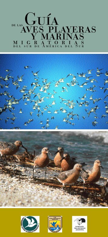 Guía de Aves Playeras y Marinas migratorias - Averaves
