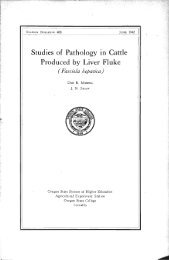 Studies of Pathology in Cattle Produced by Liver Fluke