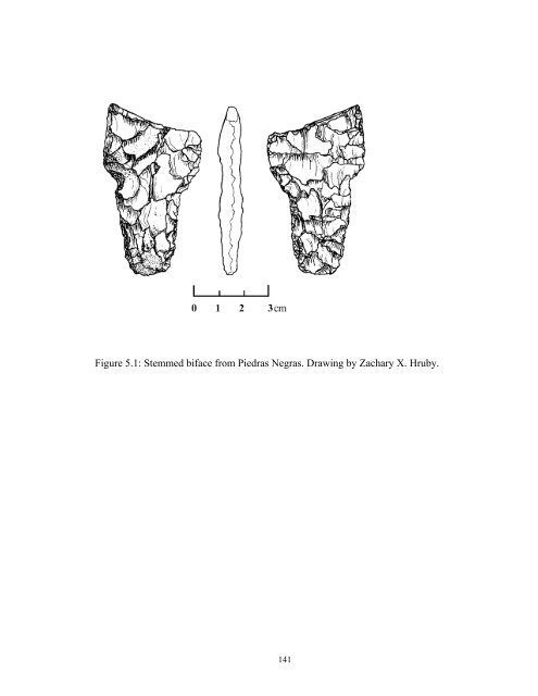 The Organization of Chipped-Stone Economies at Piedras Negras ...