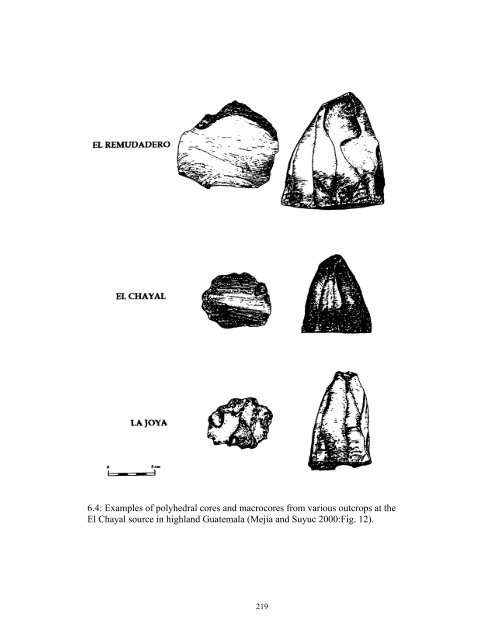 The Organization of Chipped-Stone Economies at Piedras Negras ...