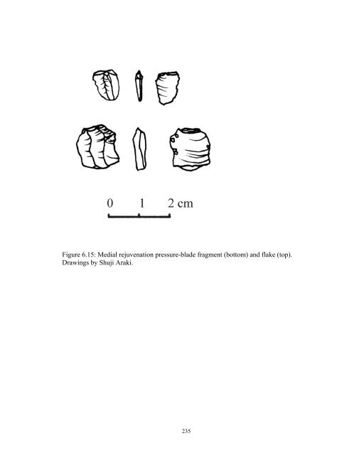 The Organization of Chipped-Stone Economies at Piedras Negras ...