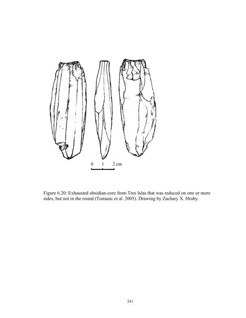 The Organization of Chipped-Stone Economies at Piedras Negras ...