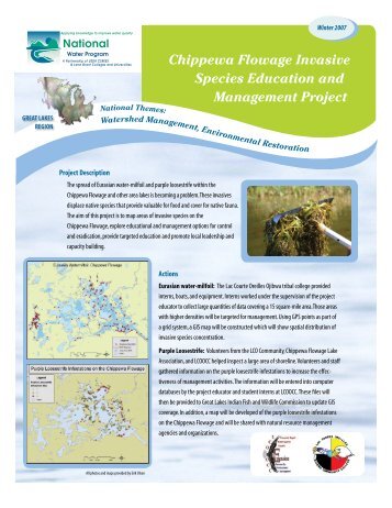 Chippewa Flowage Invasive Species Education and Management ...