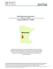 Rapid Watershed Assessment Resource Profile Chippewa (MN ...