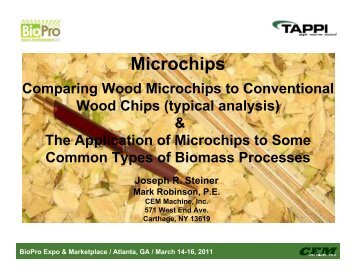 Wood Microchips - Tappi