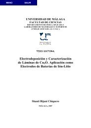 TESIS DOCTORAL DE SHANTI BIJANI CHIQUERO (Completo)