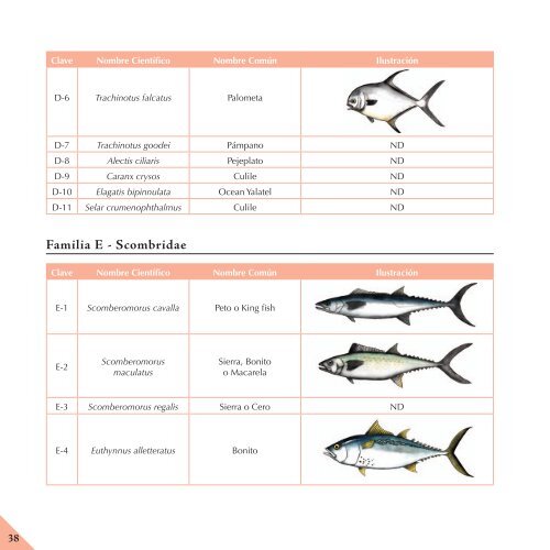 Mejores Prácticas de Pesca en Arrecifes Coralinos