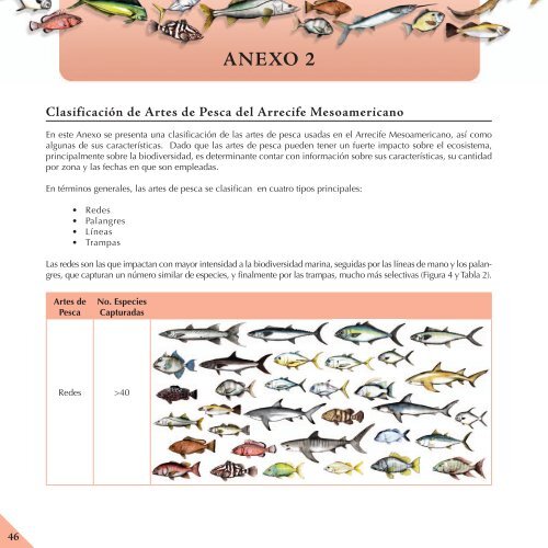 Mejores Prácticas de Pesca en Arrecifes Coralinos