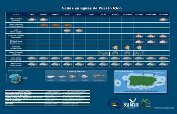 Tabla de Vedas - Puerto Rico Sea Grant College Program