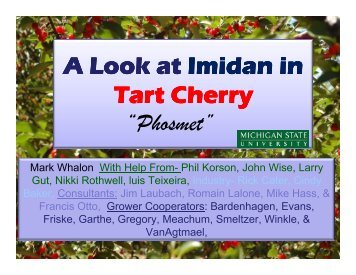 A Look at Imidan in Tart Cherry “Phosmet” - Cherries