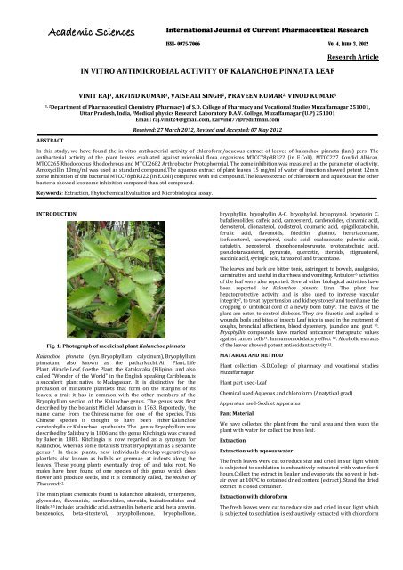 In Vitro Antimicrobial Activity Of Kalanchoe Pinnata Leaf International