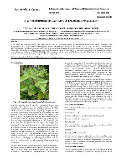 In Vitro Antimicrobial Activity Of Kalanchoe Pinnata Leaf International In Vitro Antimicrobial Activity Of Kalanchoe Pinnata Leaf International