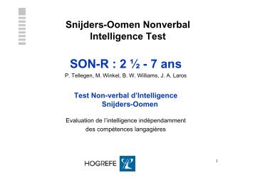 Snijders-Oomen Nonverbal Intelligence Test SON-R