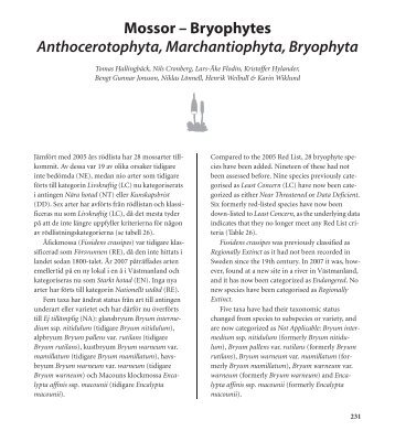 Mossor – Bryophytes Anthocerotophyta, Marchantiophyta, Bryophyta