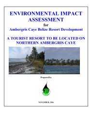 Ambergris Caye Belize Resort Development - Department of ...