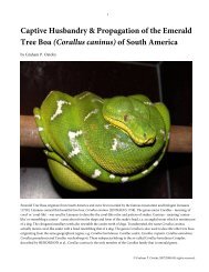 Captive Husbandry & Propagation Of The Emerald Tree - Corallus ...