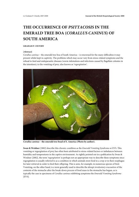 The Source of Vomiting in the Emerald Tree Boa (Corallus caninus)