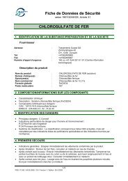 Fiche de Données de Sécurité CHLOROSULFATE DE FER