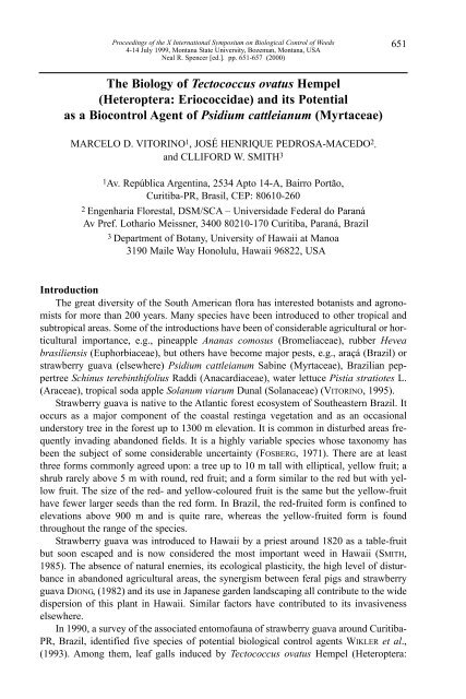 The Biology of Tectococcus ovatus Hempel ... - Invasive.org