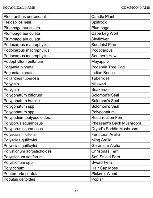 Botanical Name – Common Name Plant Database - River Oaks ...