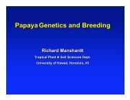 Manshardt - papaya breeding