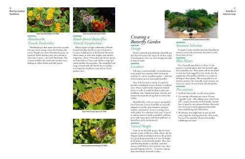 The Butterflies of Galveston County - Aggie Horticulture - Texas A&M ...