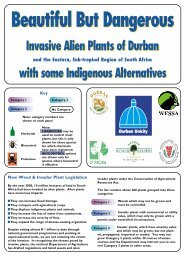 Beautiful But Dangerous Poster Aliens - Durban