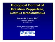 Biological Control of Brazilian Peppertree,