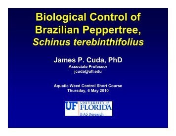 Biological Control of Brazilian Peppertree,