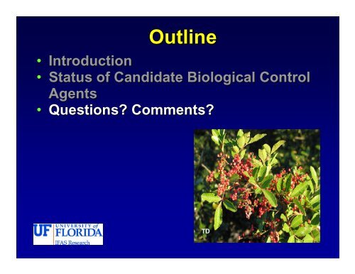 Biological Control of Brazilian Peppertree,