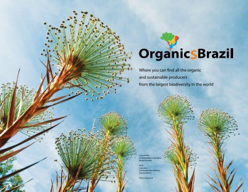 Organics Brazil - Organics Brasil
