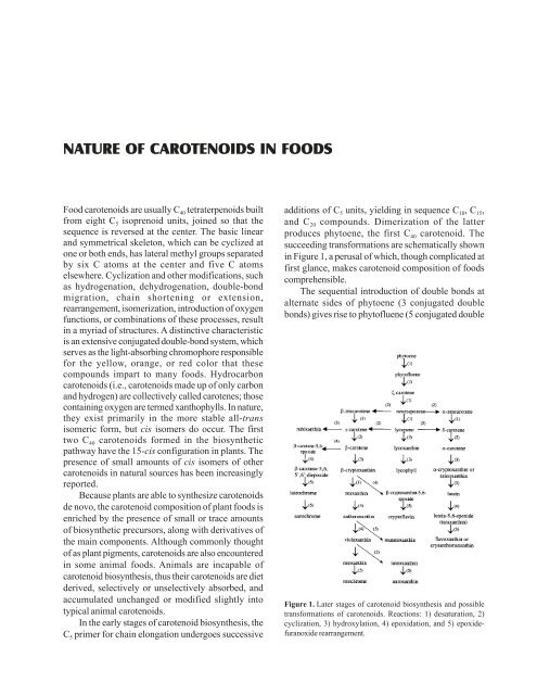 A GUIDE TO CAROTENOID ANALYSIS IN FOODS