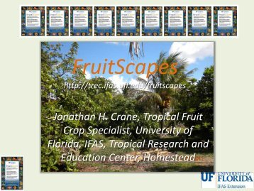 FruitScapes - Tropical Research and Education Center - University ...