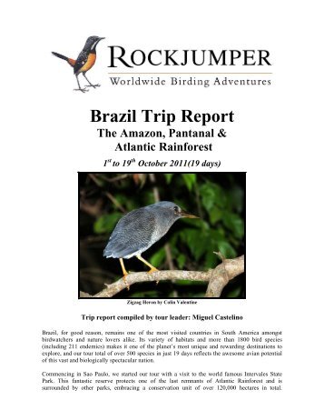 Brazil Trip Report - Rockjumper Birding Tours