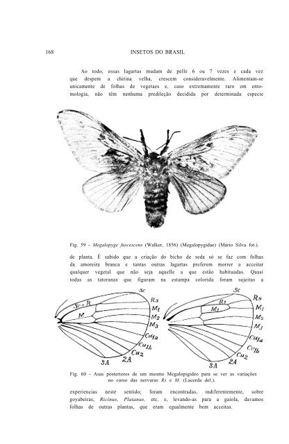 Superfamília ZYGAENOIDEA - Acervo Digital de Obras Especiais