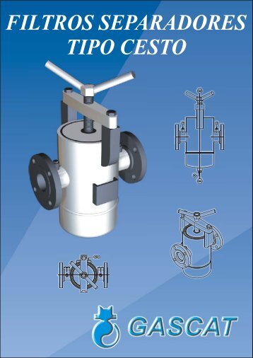 FILTROS SEPARADORES TIPO CESTO - Gascat