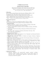 CURRICULUM VITAE Professor Boris Tsukerblat