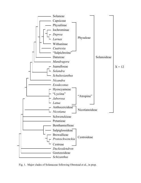 Olmstead&Bohs.ActHor.. - Department of Biology - University of Utah