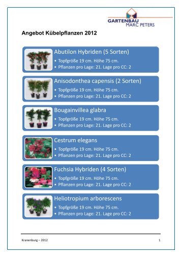 Aktuelles Angebot Kübelpflanzen 2012 - Gartenbau Marc Peters