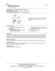 10X RBC Lysis Buffer (Multi-species) - eBioscience