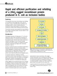 Tricks and Tips of Refolding His Tagged Proteins