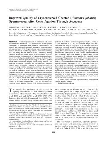 Spermatozoa After Centrifugation Through Accudenz - Cheetah ...