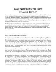 The Thirteenth Fire by Dave Turner, 1999 - Wildland Fire Leadership ...